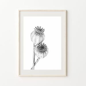 Kunstdruck Mohnblumen im Papeterie Online Shop